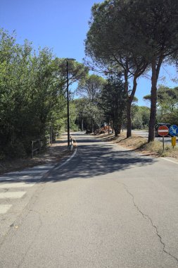 Güneşli bir günde deniz kenarındaki parkta yolları ayırmak.