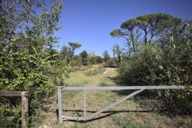 Güneşli bir günde, deniz kenarındaki bir parkın girişindeki barda.