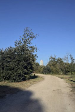 Gün batımında bir parkın açıklığındaki toprak yolda ağaçların arkasında bir gökdelen var.