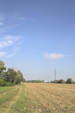 İtalya kırsalında güneşli bir günde, uzak bir yolda bir koruluğun yanında ekilmiş tarla.