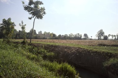 İtalya kırsalında güneşli bir günde siperlerle çevrili ekili bir tarla.