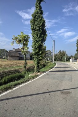 Güneşli bir günde, İtalya kırsalında, tahta direklerle çevrili bir tarlanın yanında dar bir yol.