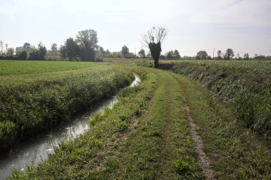 İtalya kırsalında güneşli bir günde siperler ve tarlalar arasındaki yol