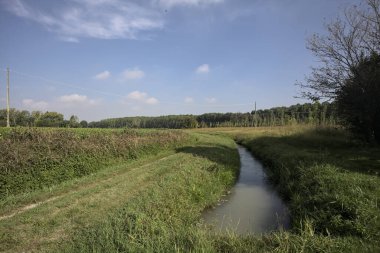 İtalya kırsalında güneşli bir günde siperler ve tarlalar arasındaki yol