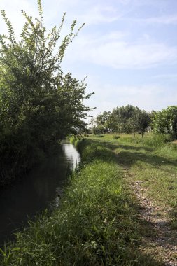 Suyla siperler arasındaki yol ve İtalya kırsalındaki tarlaların yanındaki bir sıra ağaç.