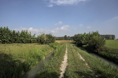 Suyla siperler arasındaki yol ve İtalya kırsalındaki tarlaların yanındaki bir sıra ağaç.