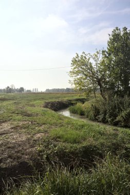 İtalya 'nın kırsal kesimlerinde güneşli bir günde, bir ağacın kenarındaki tarlalar arasındaki su akıntısı.