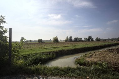 İtalya kırsalında güneşli bir günde ekili tarlalar arasında suyla siper kazmak