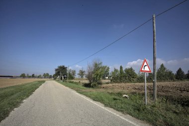 Güneşli bir günde kenarında bir tabela olan virajın yanındaki kır yolu.