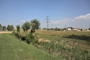 Güneşli bir günde, İtalya kırsalında ağaçlarla kaplı bir tarlada siper kazmak.