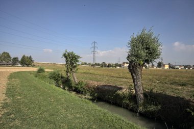 Güneşli bir günde, İtalya kırsalında ağaçlarla kaplı bir tarlada siper kazmak.