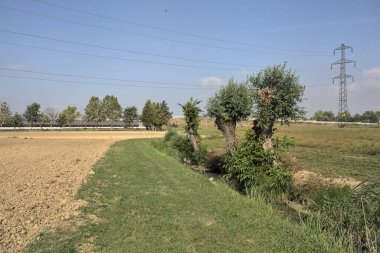 Güneşli bir günde, İtalya kırsalında ağaçlarla kaplı bir tarlada siper kazmak.