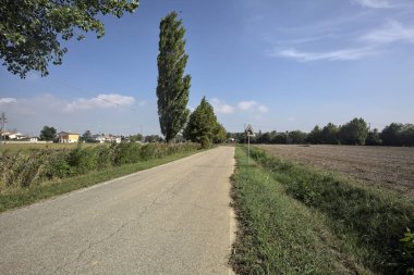 İtalya kırsalında güneşli bir günde tarlaların yanında seyrek ağaçlarla çevrili bir köy yolu.