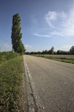 İtalya kırsalında güneşli bir günde tarlaların yanında seyrek ağaçlarla çevrili bir köy yolu.