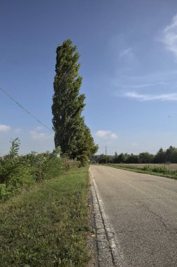 İtalya kırsalında güneşli bir günde tarlaların yanında seyrek ağaçlarla çevrili bir köy yolu.