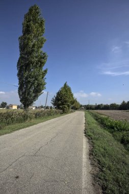 İtalya kırsalında güneşli bir günde tarlaların yanında seyrek ağaçlarla çevrili bir köy yolu.