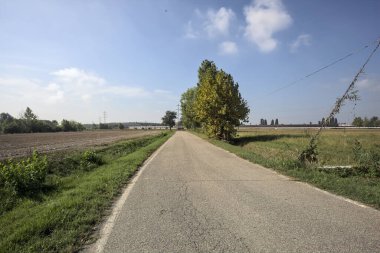 İtalya kırsalında güneşli bir günde tarlaların yanında seyrek ağaçlarla çevrili bir köy yolu.
