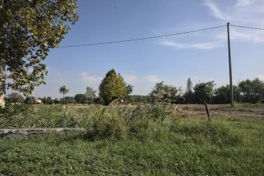 Bir grup ağaç ve İtalya kırsalında güneşli bir günde uzaktan görülen bir patika.