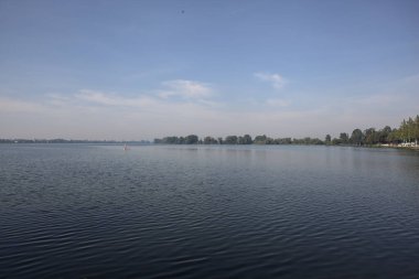 Açık bir günde göl ve uzak bir orman.