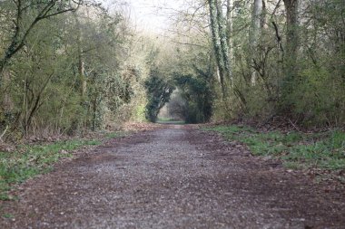 Gün batımında İtalya kırsalında bir parkta yol