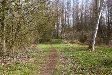 Gün batımında İtalya kırsalında bir parkta yol