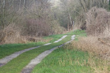 Gün batımında İtalya kırsalında bir parkta yol