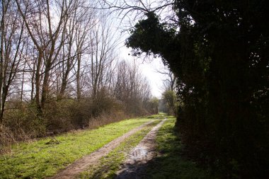 Gün batımında İtalya kırsalında bir parkta yol