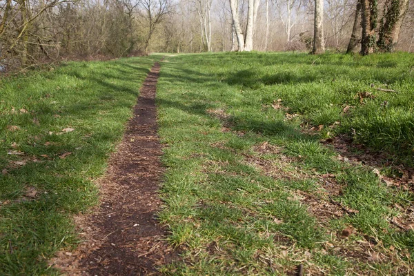 Gün batımında İtalya kırsalında bir parkta yol