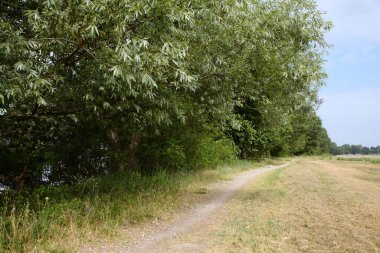 Gün batımında İtalya kırsalında bir parkta yol