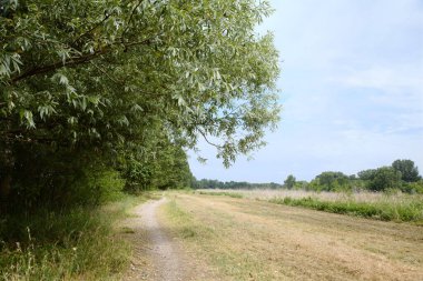 Gün batımında İtalya kırsalında bir parkta yol