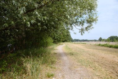 Gün batımında İtalya kırsalında bir parkta yol