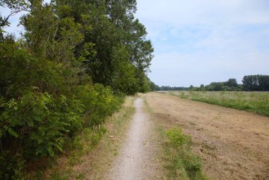 Gün batımında İtalya kırsalında bir parkta yol