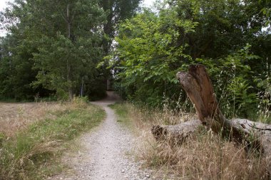 Gün batımında İtalya kırsalında bir parkta yol