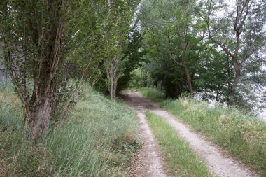 Gün batımında İtalya kırsalında bir parkta yol