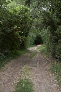 Gün batımında İtalya kırsalında bir parkta yol