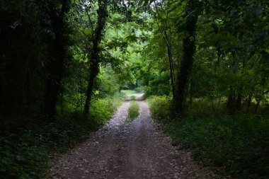 Gün batımında İtalya kırsalında bir parkta yol