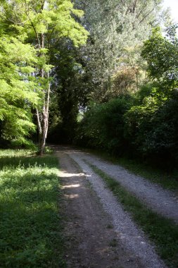 Gün batımında İtalya kırsalında bir parkta yol