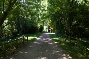 Gün batımında İtalya kırsalında bir parkta yol