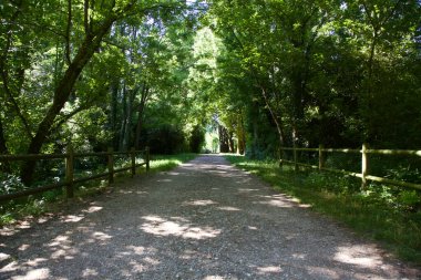 Gün batımında İtalya kırsalında bir parkta yol