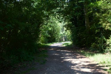 Gün batımında İtalya kırsalında bir parkta yol