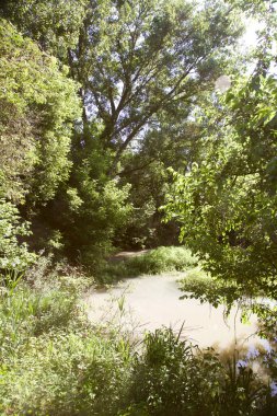 Gün batımında İtalya kırsalında bir parkta yol