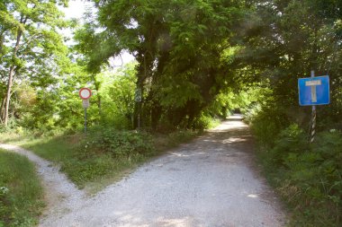 Gün batımında İtalya kırsalında bir parkta yol