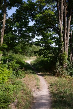 Gün batımında İtalya kırsalında bir parkta yol