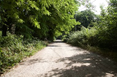 Gün batımında İtalya kırsalında bir parkta yol