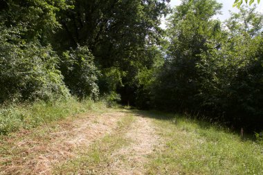 Gün batımında İtalya kırsalında bir parkta yol