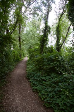 Gün batımında İtalya kırsalında bir parkta yol