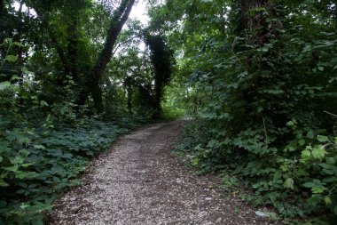 Gün batımında İtalya kırsalında bir parkta yol