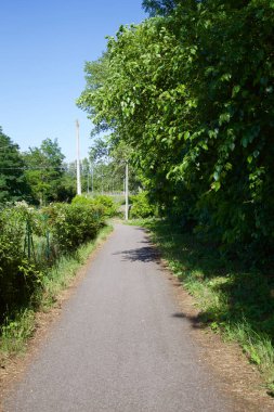 İtalya kırsalında ağaçlarla ve tarlalarla çevrili bir yol.