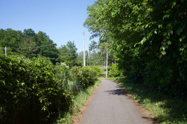 İtalya kırsalında ağaçlarla ve tarlalarla çevrili bir yol.