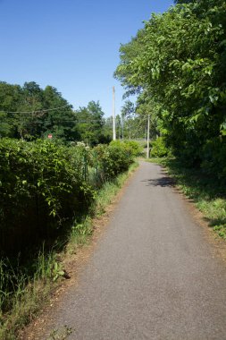 İtalya kırsalında ağaçlarla ve tarlalarla çevrili bir yol.